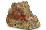 Free Standing Petrified Wood (Araucarioxylon) - Arizona #371679-1